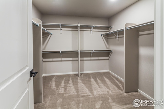 walk in closet featuring light colored carpet