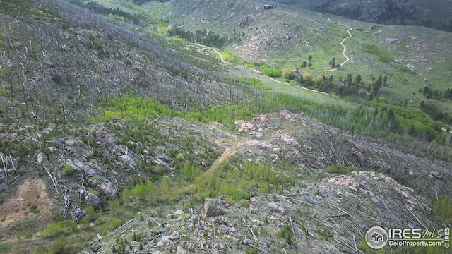 3839 Davis Ranch Rd, Bellvue, CO 80512