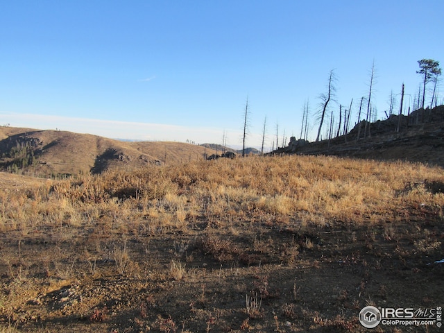 3839 Davis Ranch Rd, Bellvue, CO 80512