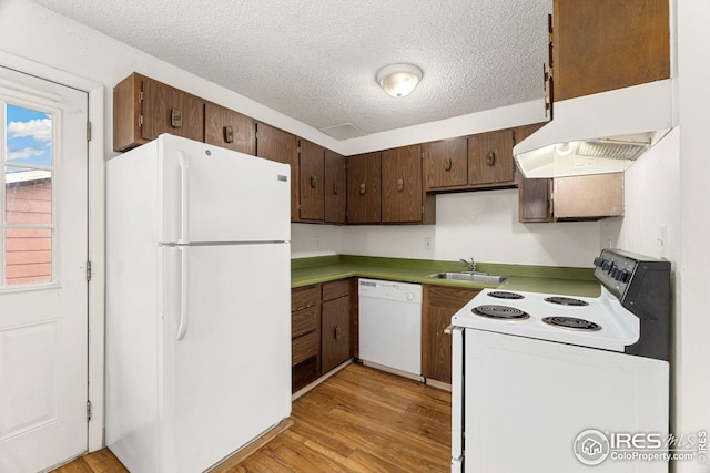 kitchen with light hardwood / wood-style floors, a textured ceiling, sink, dark brown cabinets, and white appliances