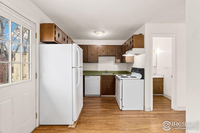 kitchen featuring a wealth of natural light, white appliances, and light hardwood / wood-style flooring