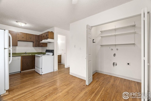 kitchen with dark brown cabinetry, sink, a textured ceiling, white appliances, and light wood-type flooring