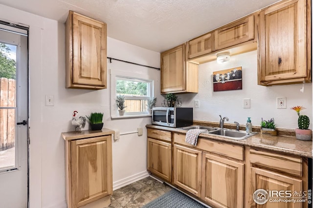 1127 W Mulberry St, Fort Collins, CO 80521 - kitchen featuring stainless steel microwave, a sink, baseboards, and light brown cabinets