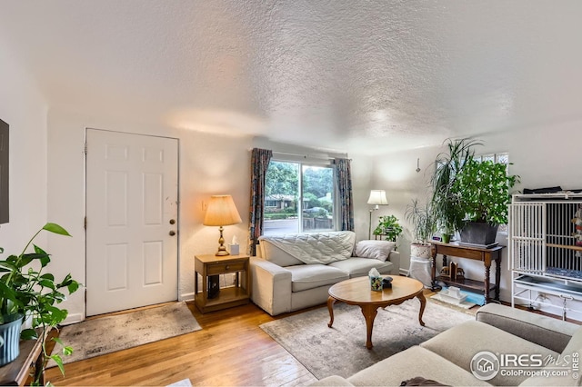 1127 W Mulberry St, Fort Collins, CO 80521 - living room featuring light wood finished floors and a textured ceiling