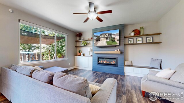 living room featuring ceiling fan, dark hardwood / wood-style floors, and a fireplace