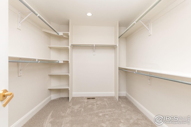 spacious closet with carpet floors