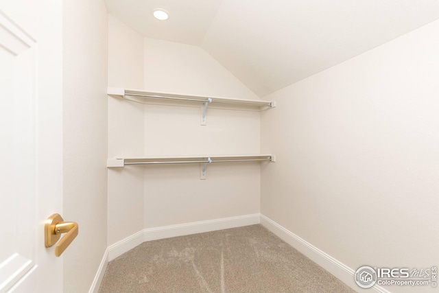 walk in closet featuring carpet floors and vaulted ceiling