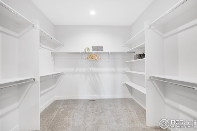 spacious closet with carpet