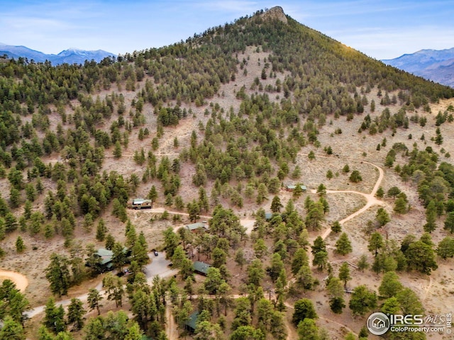 view of mountain feature