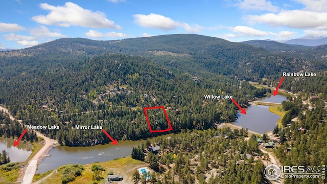 birds eye view of property featuring a view of trees and a water and mountain view