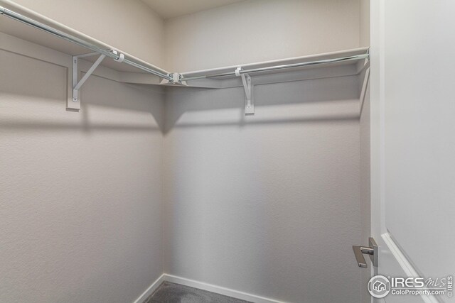 6105 Saddle Horn Dr, Timnath, CO 80547 - full bathroom featuring wood finished floors, toilet, vanity, and shower / washtub combination