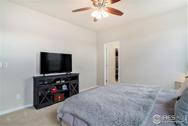 bedroom featuring a spacious closet, ceiling fan, and carpet floors