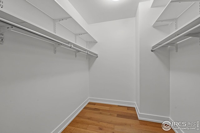 walk in closet with hardwood / wood-style flooring