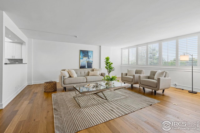 living room with light hardwood / wood-style flooring