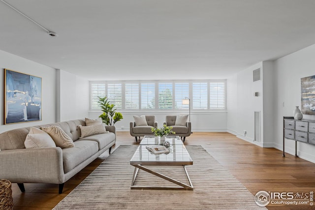 living room featuring wood-type flooring, track lighting, and a healthy amount of sunlight