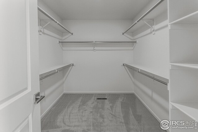 spacious closet with carpet floors