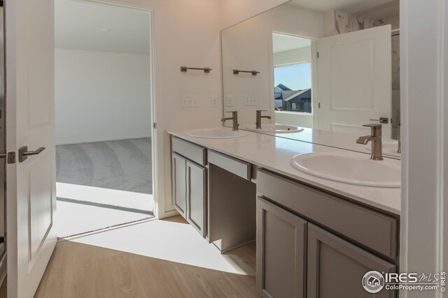 bathroom with vanity and wood-type flooring