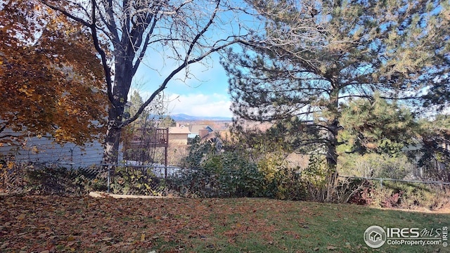 view of yard with a mountain view