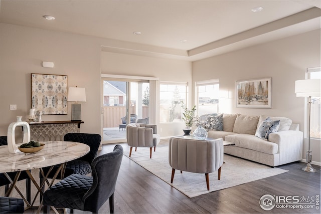 living room featuring hardwood / wood-style floors