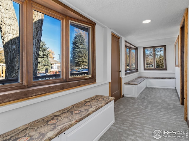 interior space featuring carpet floors, a textured ceiling, and a wealth of natural light