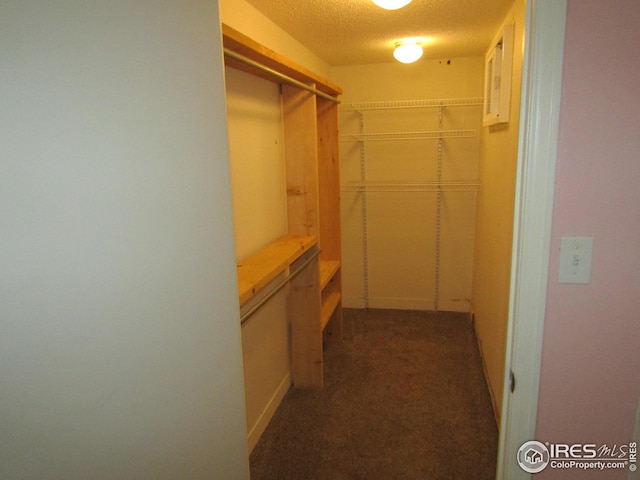 spacious closet featuring dark carpet