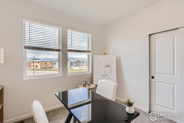 office space with carpet flooring and a wealth of natural light