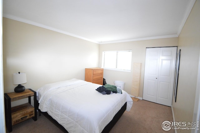 carpeted bedroom with a closet, baseboards, and crown molding