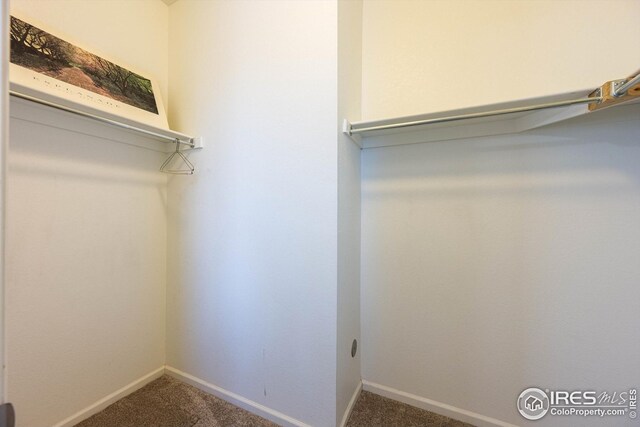 1604 Sorenson Dr, Windsor, CO 80550 - spacious closet featuring carpet floors