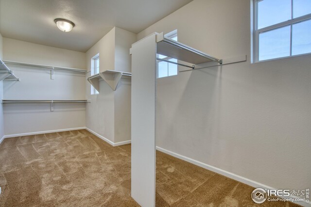 walk in closet with light colored carpet