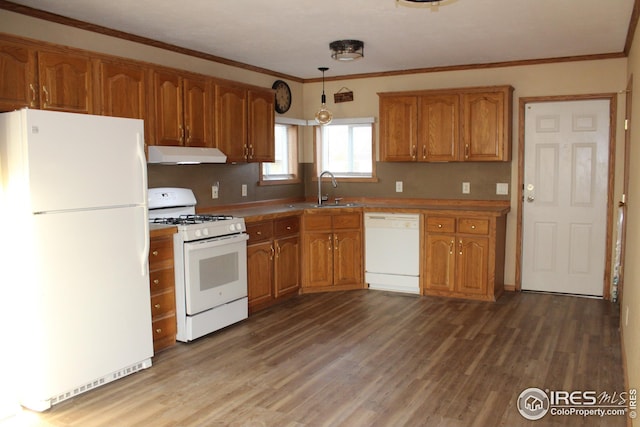 kitchen featuring sink, crown molding, decorative light fixtures, white appliances, and hardwood / wood-style floors