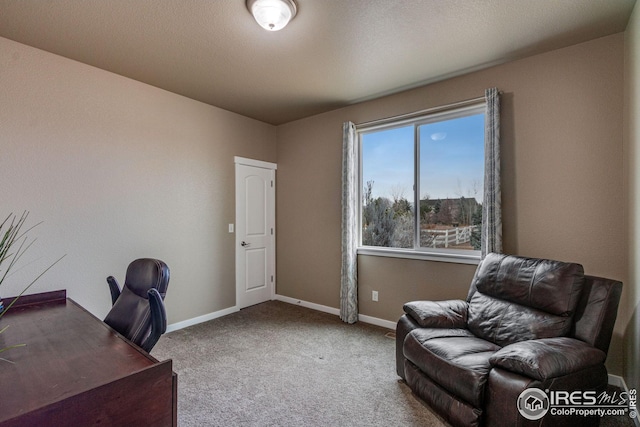 view of carpeted home office