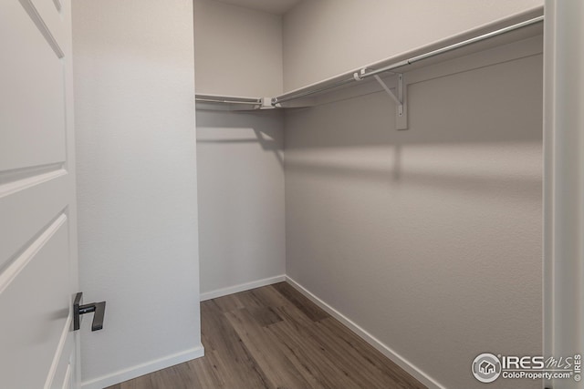 spacious closet with dark wood-type flooring