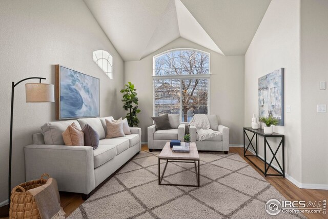 living area featuring baseboards, lofted ceiling, and wood finished floors