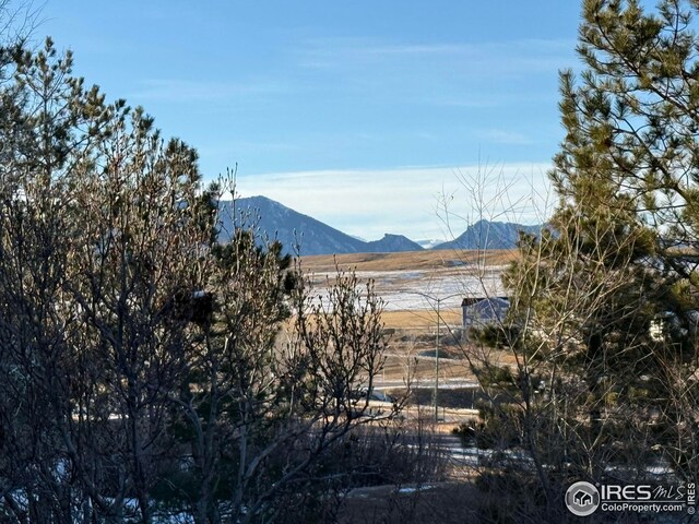 view of mountain feature