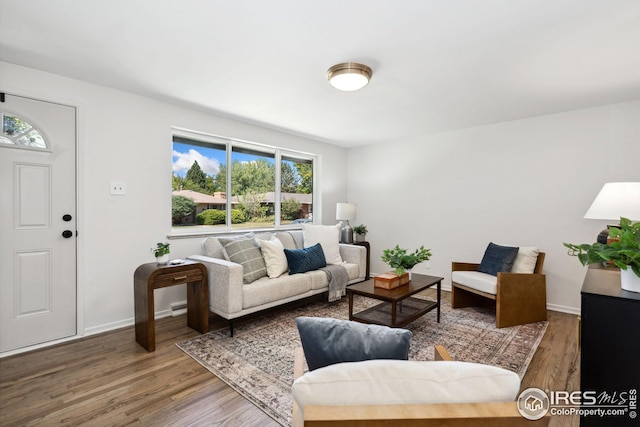 living room featuring hardwood / wood-style flooring