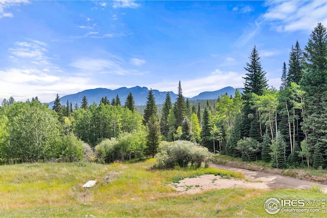 view of mountain feature featuring a forest view