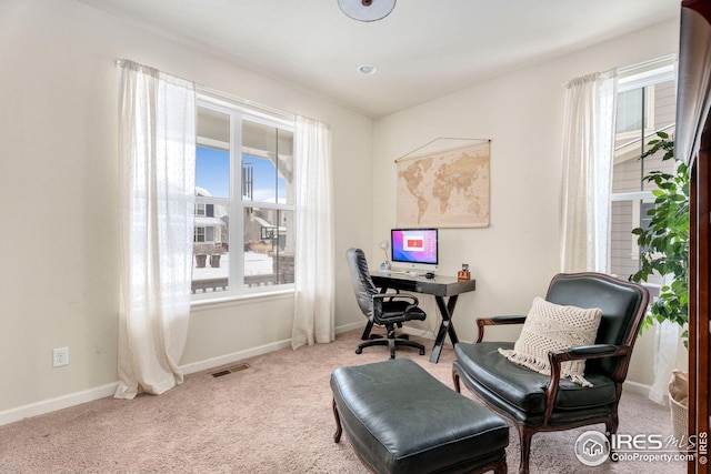 office featuring carpet flooring