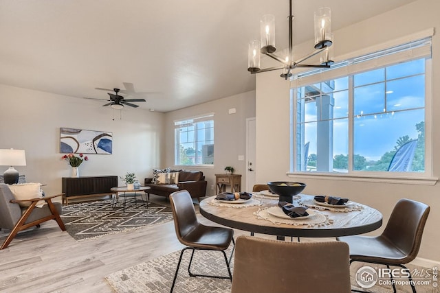 dining space with light hardwood / wood-style floors and ceiling fan with notable chandelier