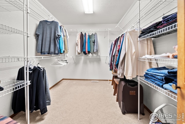 spacious closet featuring light colored carpet