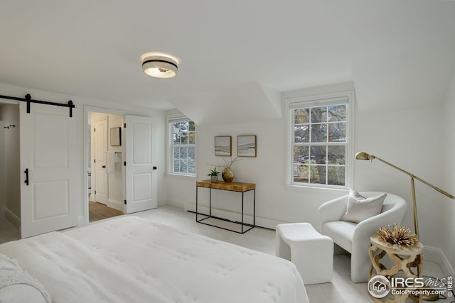 bedroom with a barn door