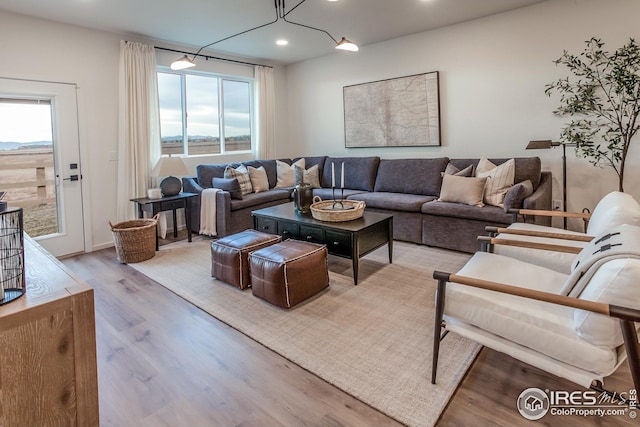 living room featuring light wood-type flooring