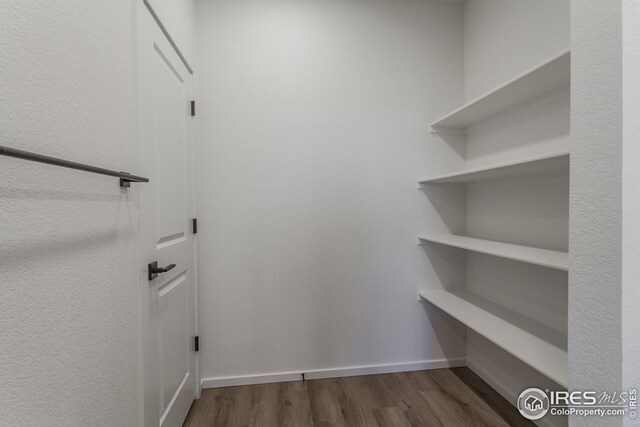 walk in closet with dark hardwood / wood-style floors