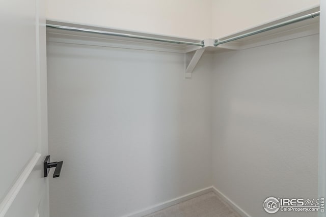 spacious closet with carpet flooring