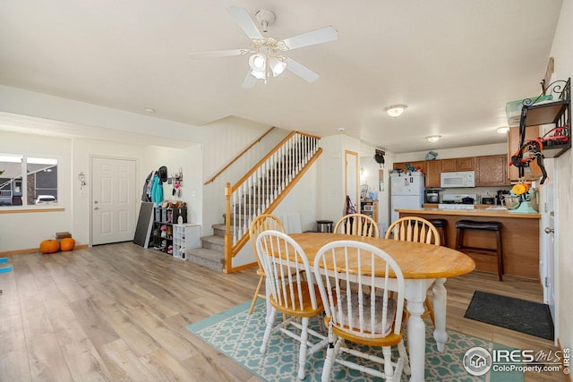 dining room with ceiling fan and light hardwood / wood-style floors