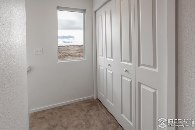 hallway with carpet flooring