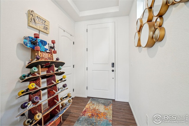 entryway featuring a raised ceiling and dark hardwood / wood-style flooring