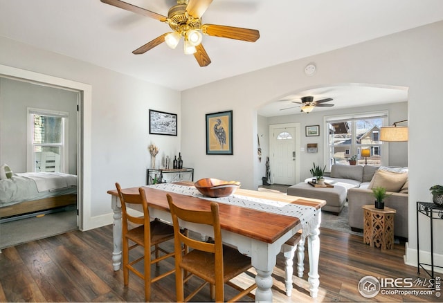 dining area featuring ceiling fan, a healthy amount of sunlight, and dark hardwood / wood-style floors