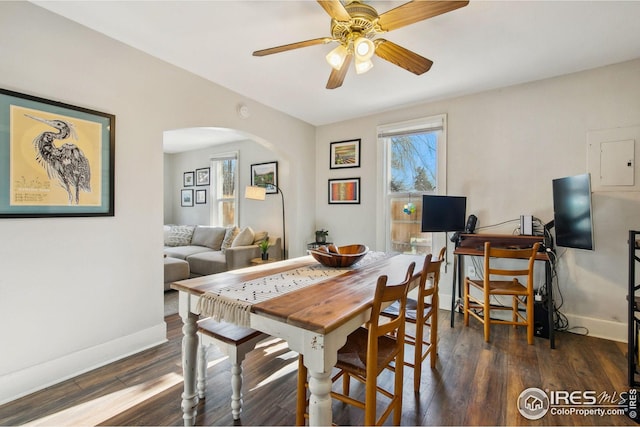 dining area with ceiling fan, electric panel, and dark hardwood / wood-style floors