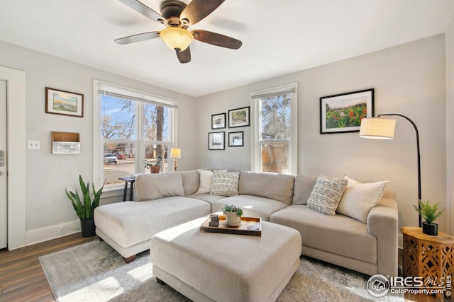 living room with ceiling fan and wood-type flooring