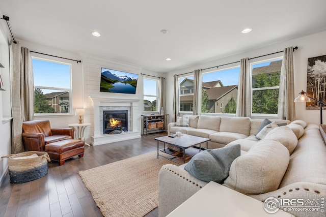 living room featuring dark hardwood / wood-style flooring